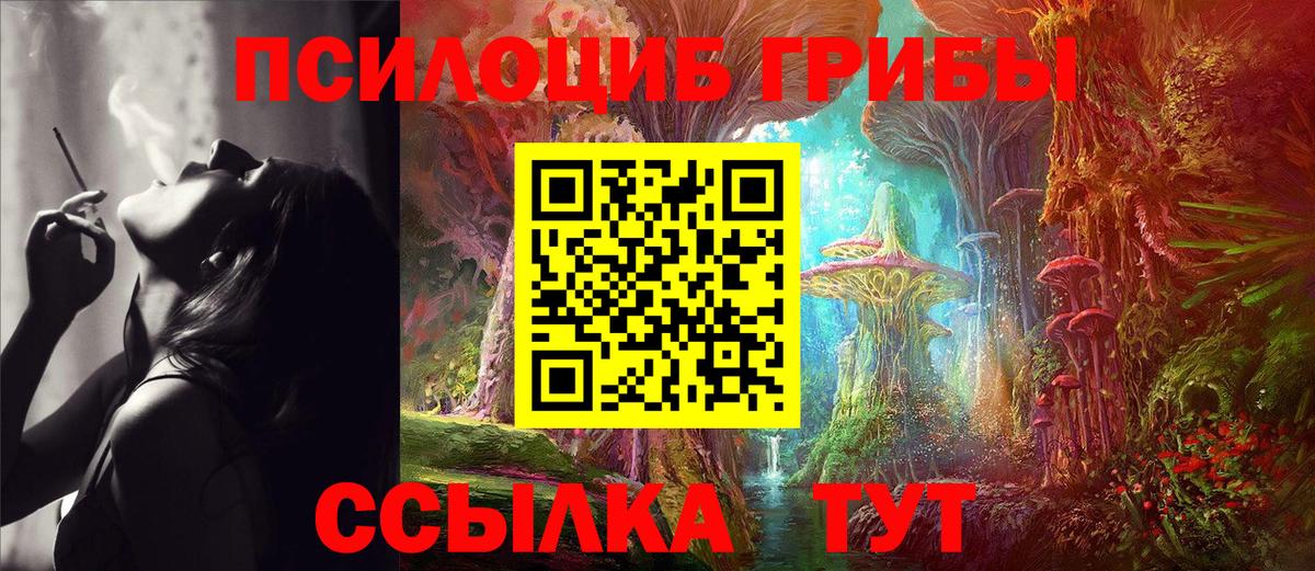 Псилоцибиновые грибы MAGIC MUSHROOMS Губаха