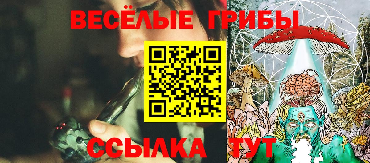Губаха  закладки  Вход с VPN  Галлюциногенные грибы ЛСД 